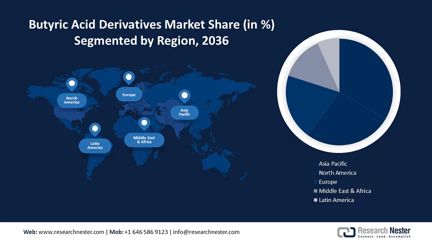 Butyric Acid Derivatives Market  Size